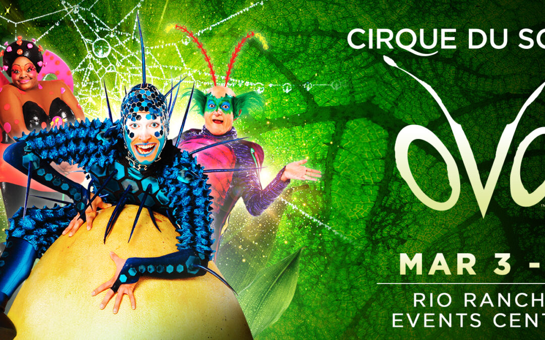 Cirque du Soleil OVO