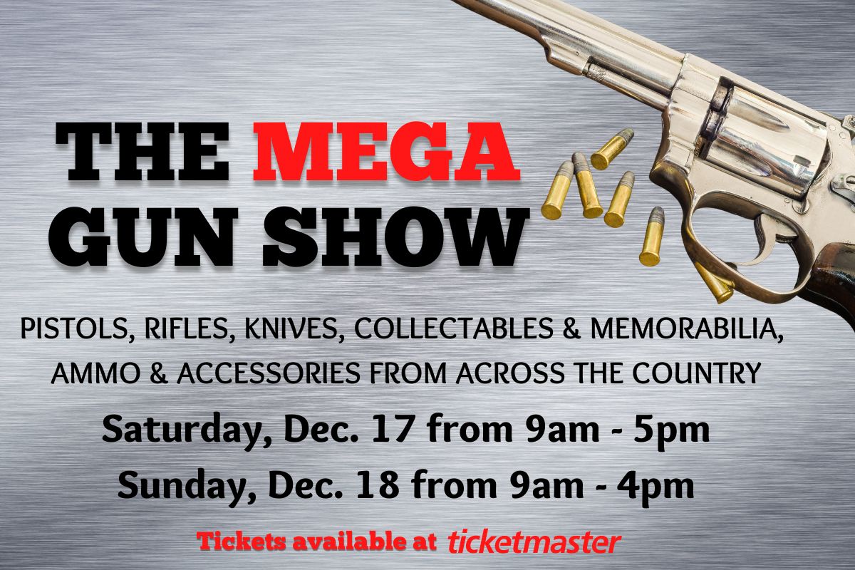 Mega Gun Show