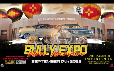 Bully EXPO New Mexico